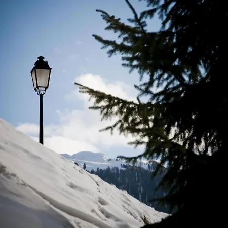 Apartment Charming With Balcony