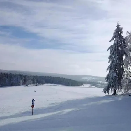 Charming With Balcony Appartement *